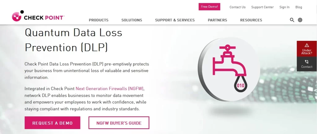 Data Loss Prevention (DLP)