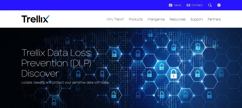 Data Loss Prevention (DLP) tools